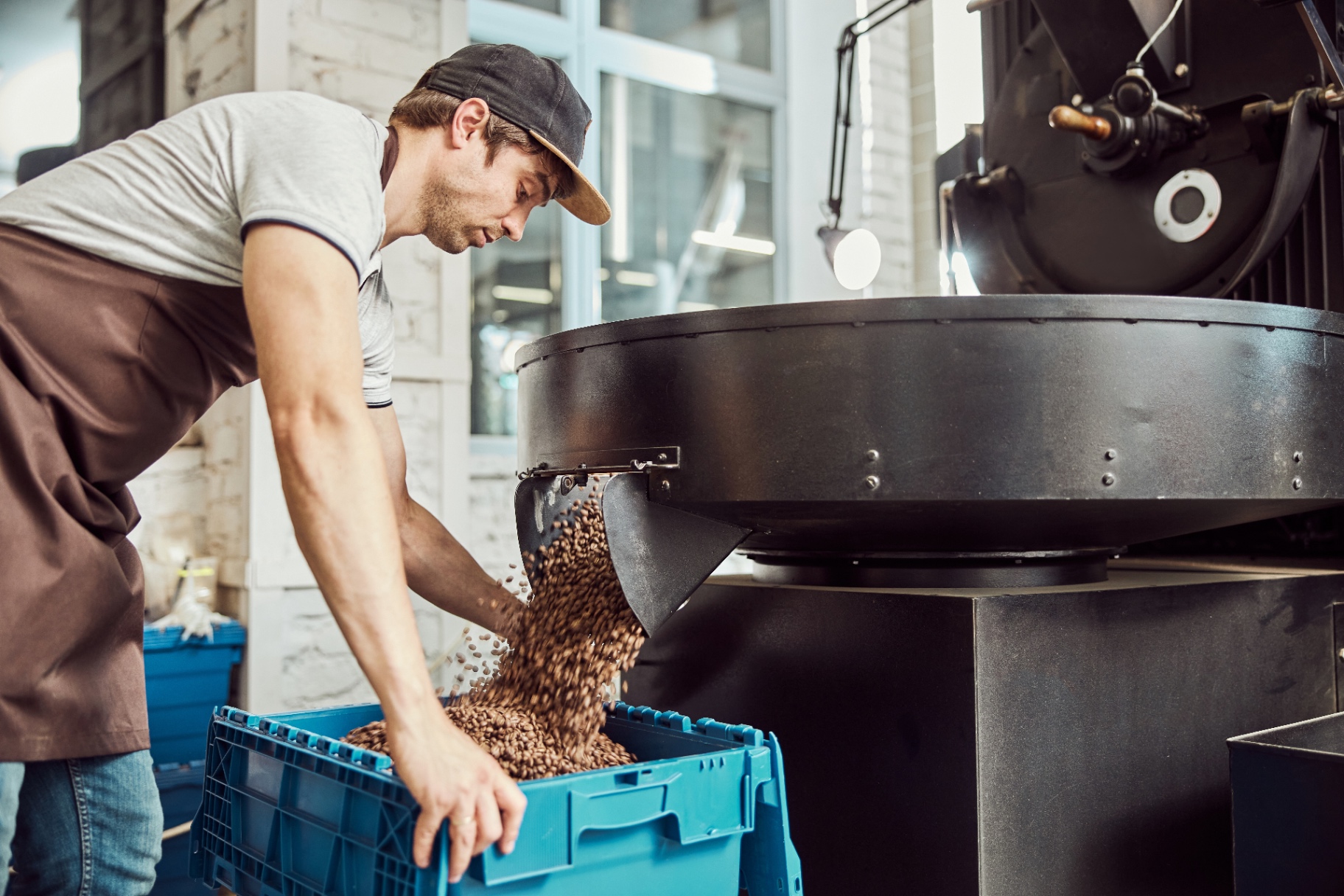 Loading freshly roasted coffee beans into a crate
