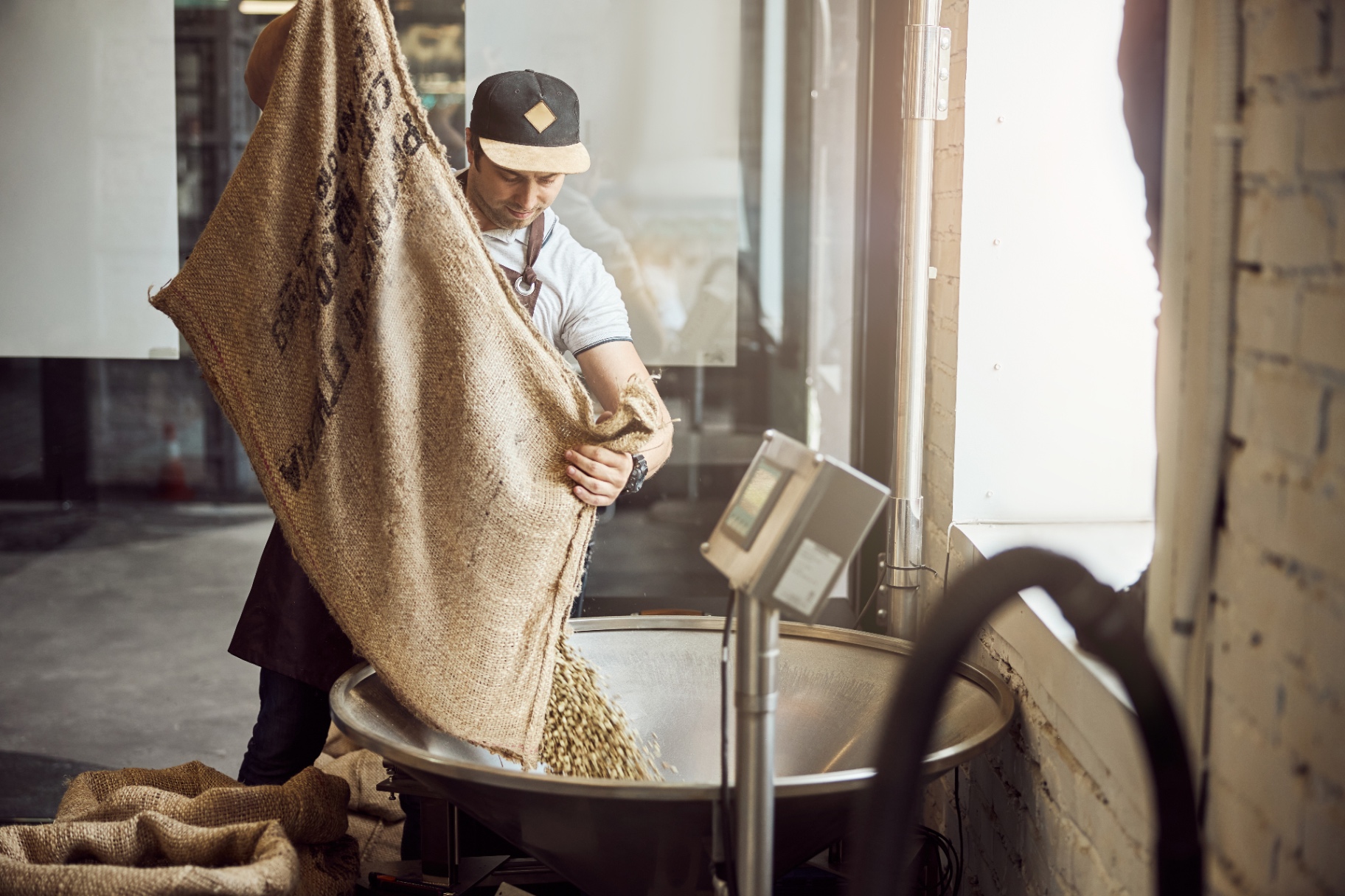 Weighing green coffee beans before roasting
