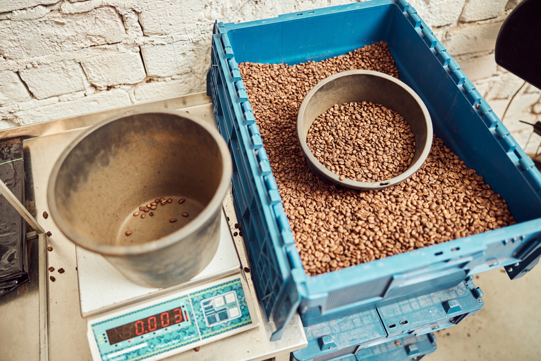 Close-up of roasted coffee beans in a container