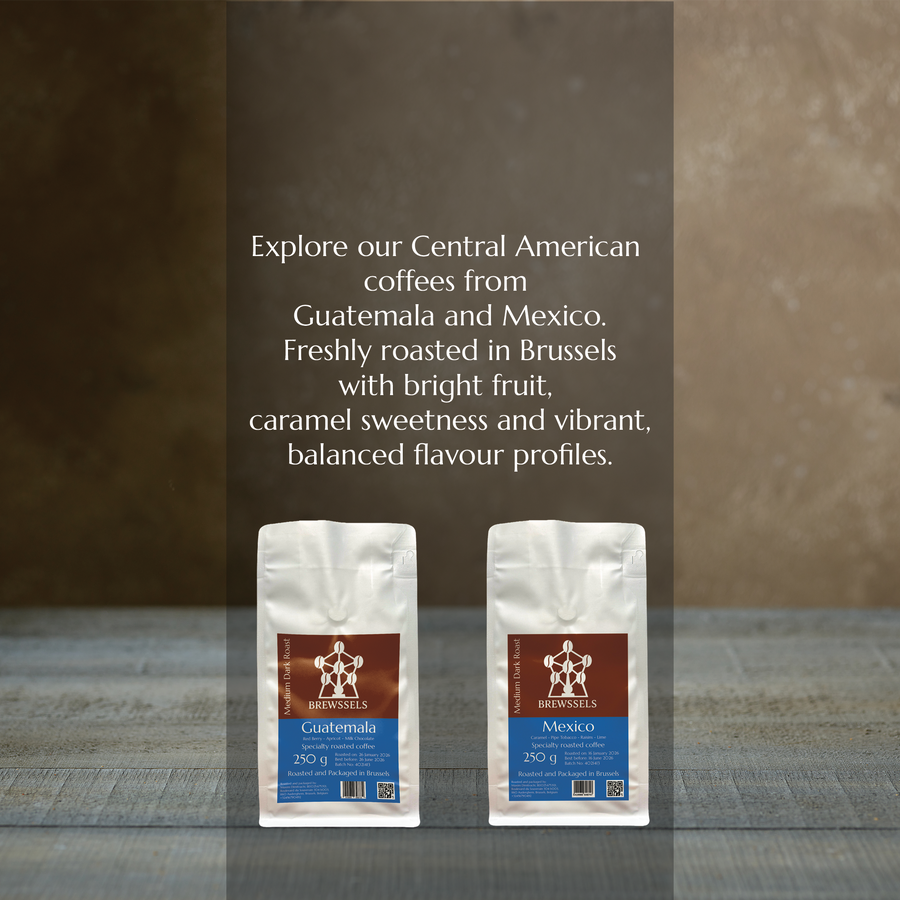 Central American Specialty Coffee | Roasted in Brussels